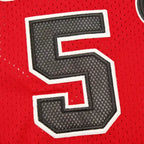 NBA New Jersey Nets 5#KIDD