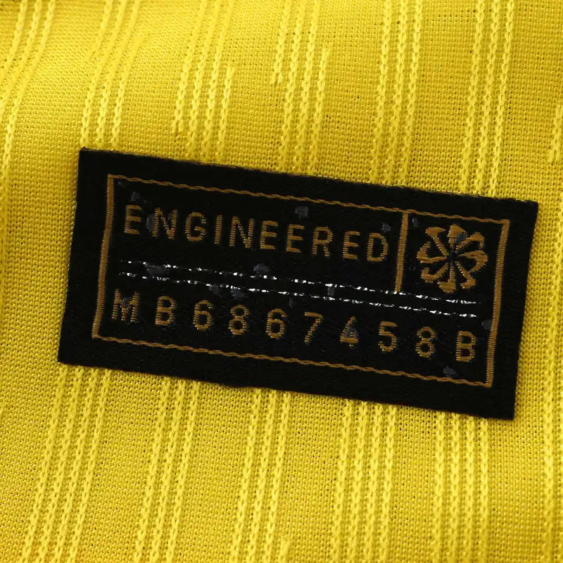 2425 season Club América home Player version