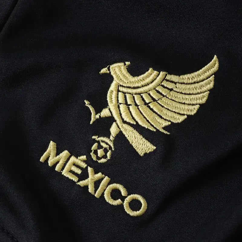 2526 season Mexico Black gold Concept version Kids kit