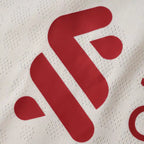 2526  season Liverpool F.C. away Player version
