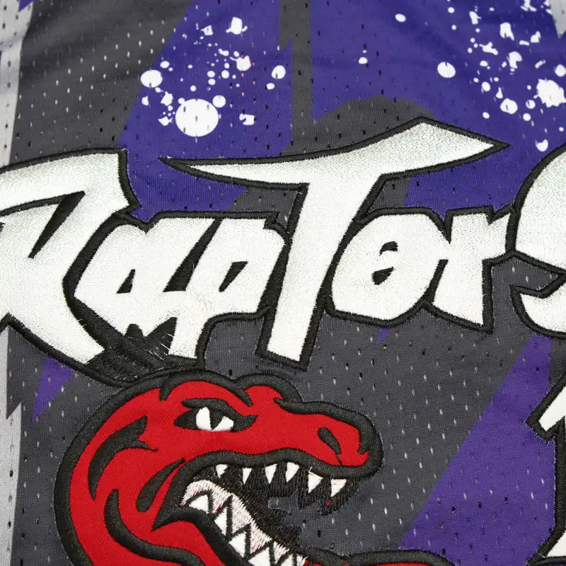 NBA Toronto Raptors 15#CARTCR