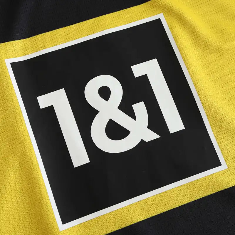 2425 season Dortmund away Fan version