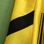 2425 season Dortmund home Player version