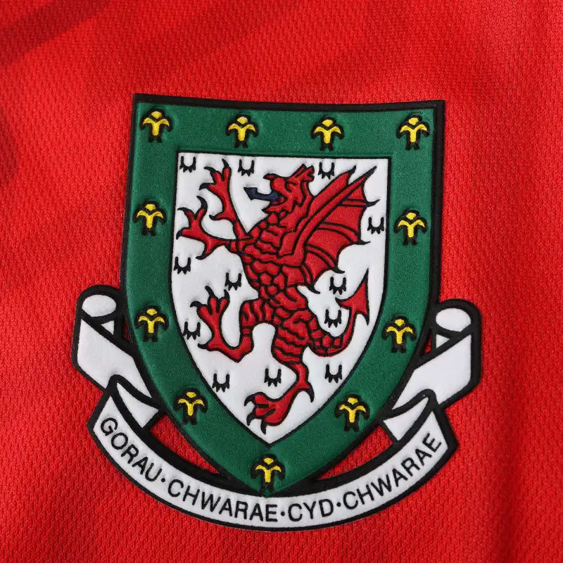 9294 season Wales home retro Fan version