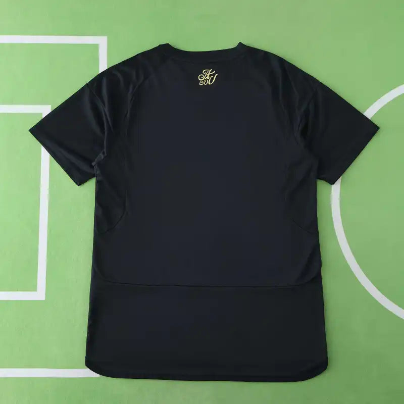 2425 season Aston Villa F.C. 125th anniversary Fan version