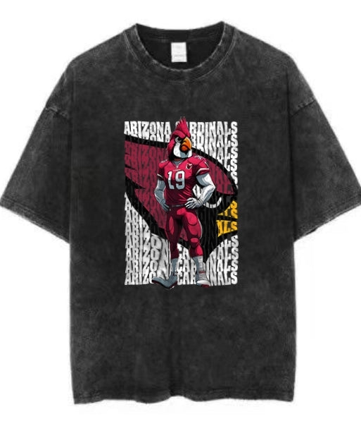 ARIZONA Vintage t-shirt 2506A067