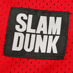 NBA Slam Dunk 11
