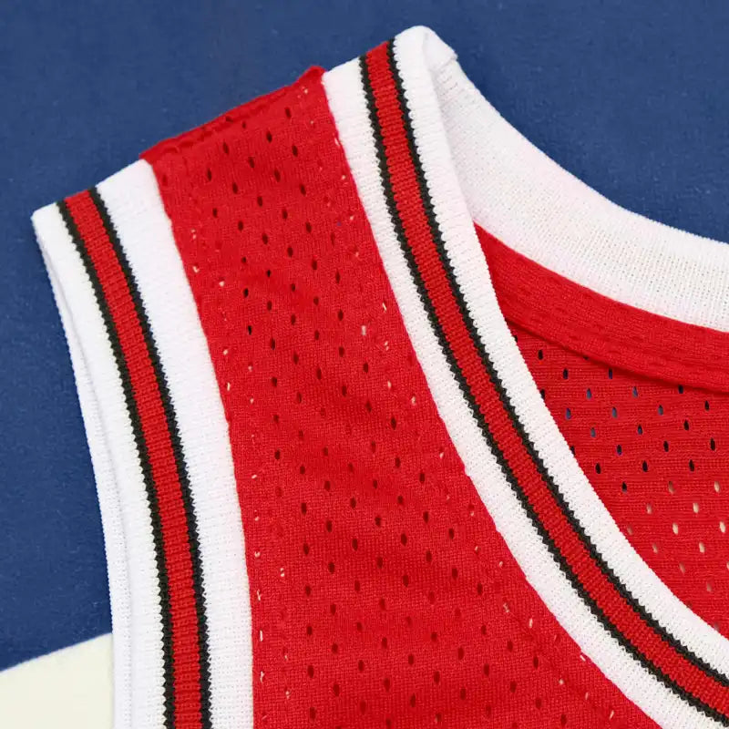 NBA Chicago Bulls 33#PIPEN
