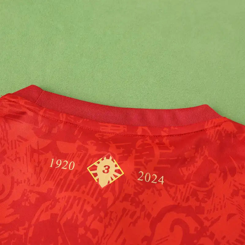 2425 season Spain Concept version Fan version
