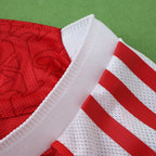 2526 season Arsenal F.C. home Player version