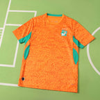 2627 Ivory Coast home Fan version