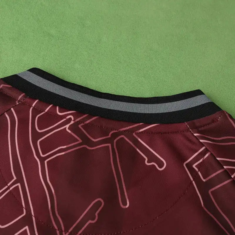 2425 season Denmark home Fan version
