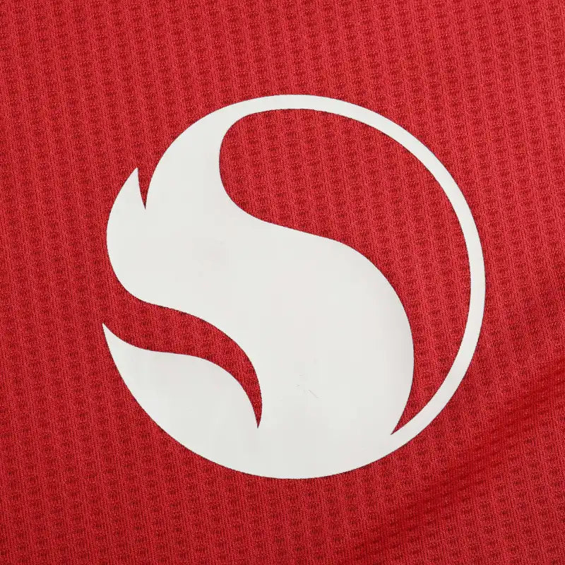 2425 season Manchester United home Player version