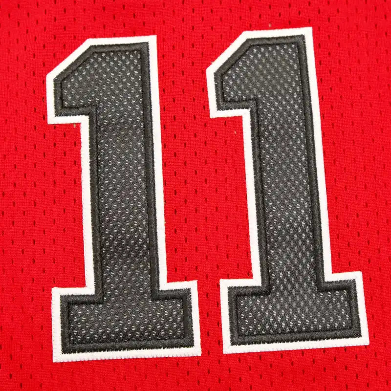 NBA Slam Dunk 11