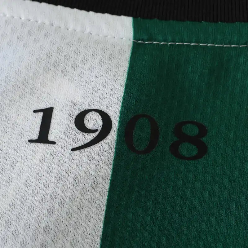 2425 season Feyenoord third Fan version