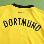 2425 season Dortmund home Fan version
