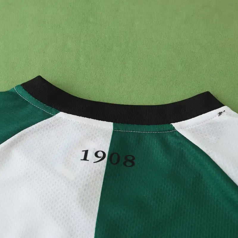 2425 season Feyenoord third Fan version