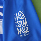 2526 season (Brighton & Hove Albion Football Club home Fan version