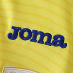 2526 season Romania home Fan version