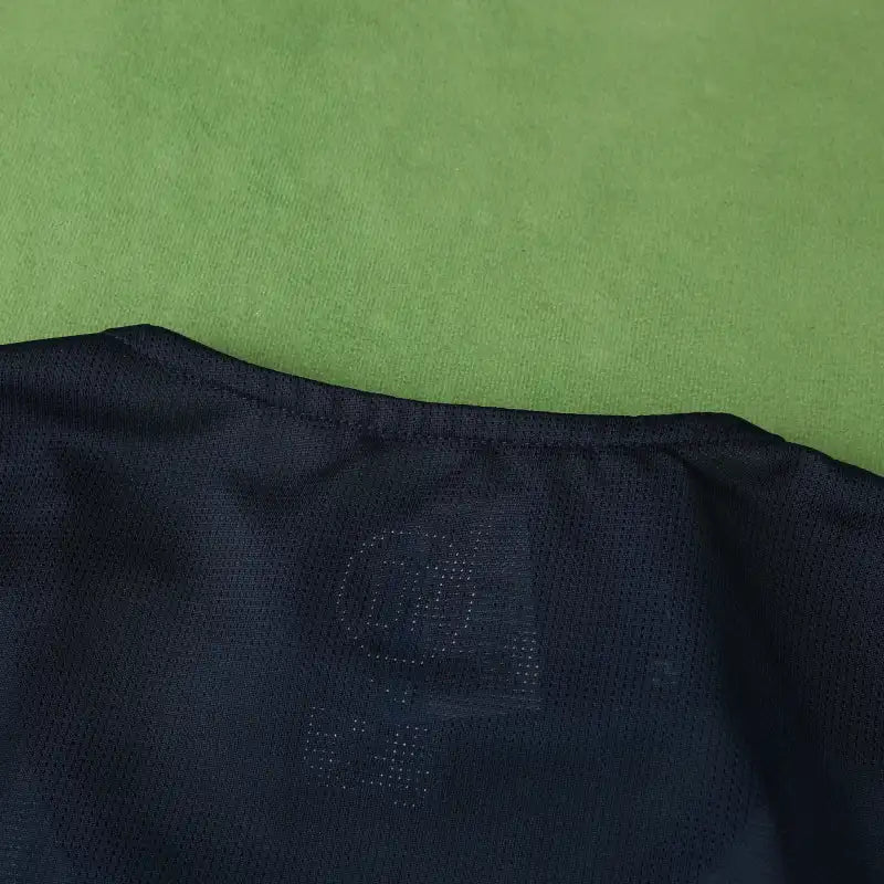 0405 season F.C. Internazionale Milano third retro Fan version