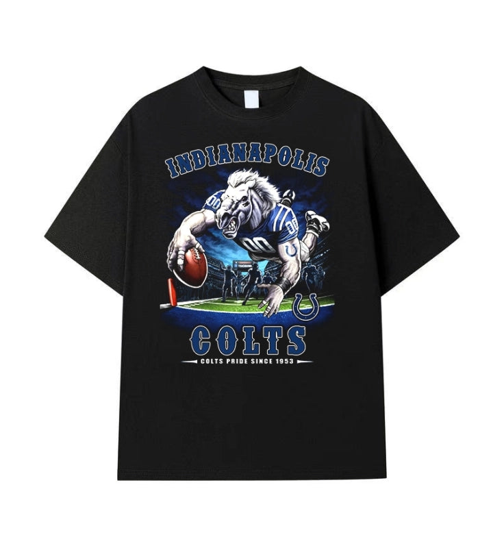 INDIANANPOLIS COLTS Vintage t-shirt 2506A013