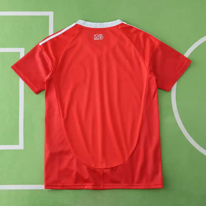 2526 season Sport Club Internacional home Fan version