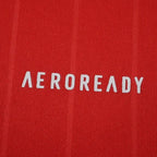 2526 season Aberdeen Football Clu home Fan version