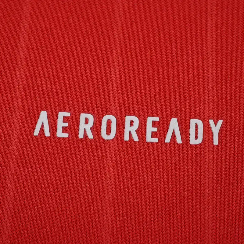 2526 season Aberdeen Football Clu home Fan version