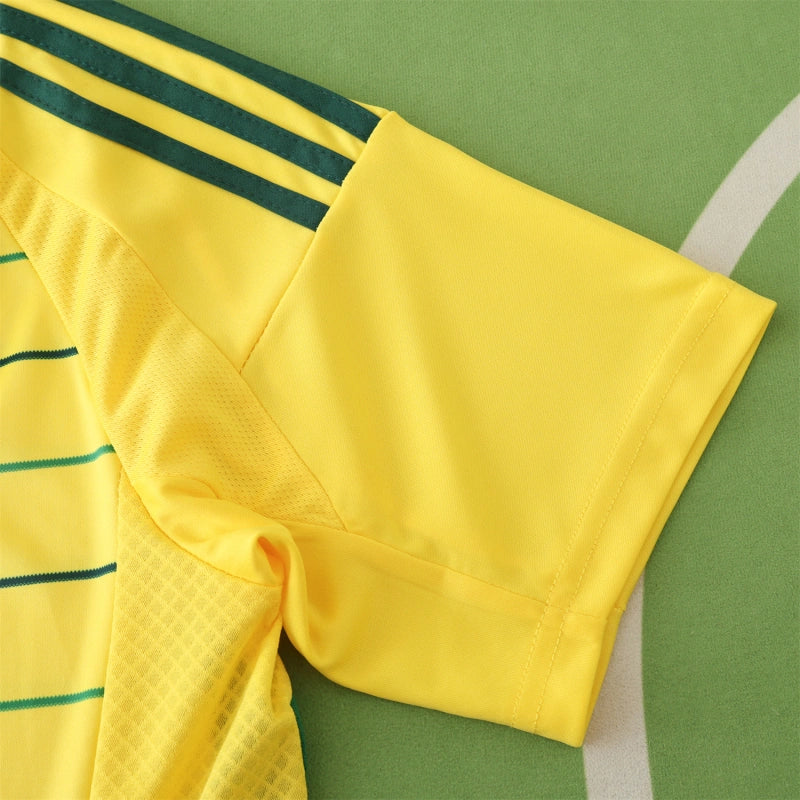 2425 season Celtic F.C. away Fan version