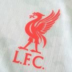2425 season Liverpool third Player version