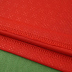 2526 season Portugal home Long sleeved Fan version