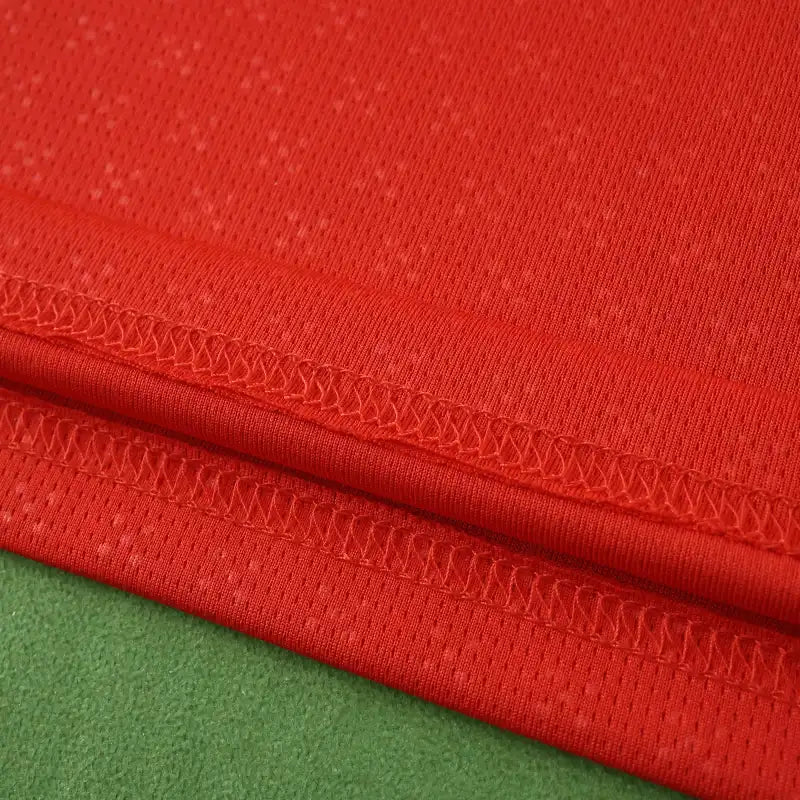 2526 season Portugal home Long sleeved Fan version