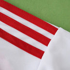 2526 season S.L. Benfica third Fan version