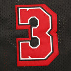 NBA Miami Heat 3#WADE