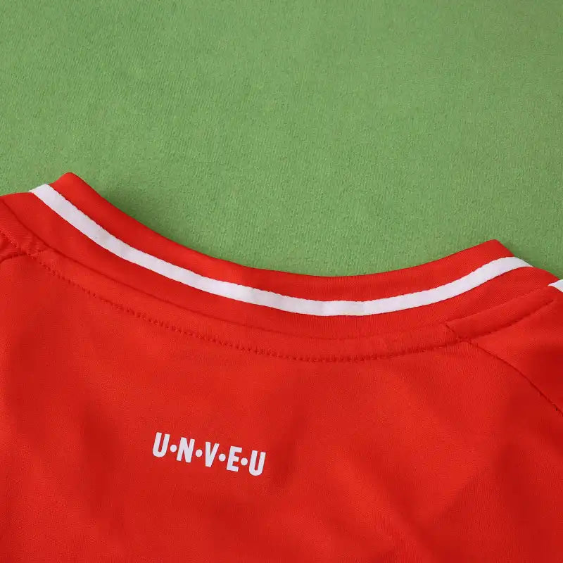 2526 season 1. FC Union Berlin home Fan version