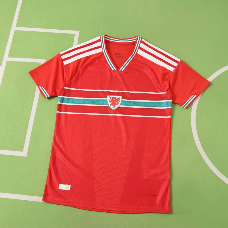 2026 FIFA World Cup Wales home Player version
