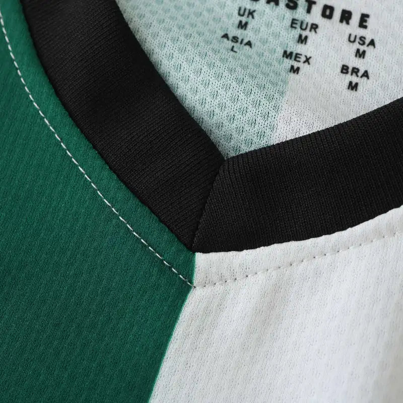 2425 season Feyenoord third Fan version