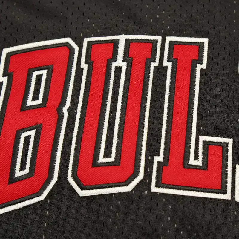 NBA Chicago Bulls 91#RODMAN