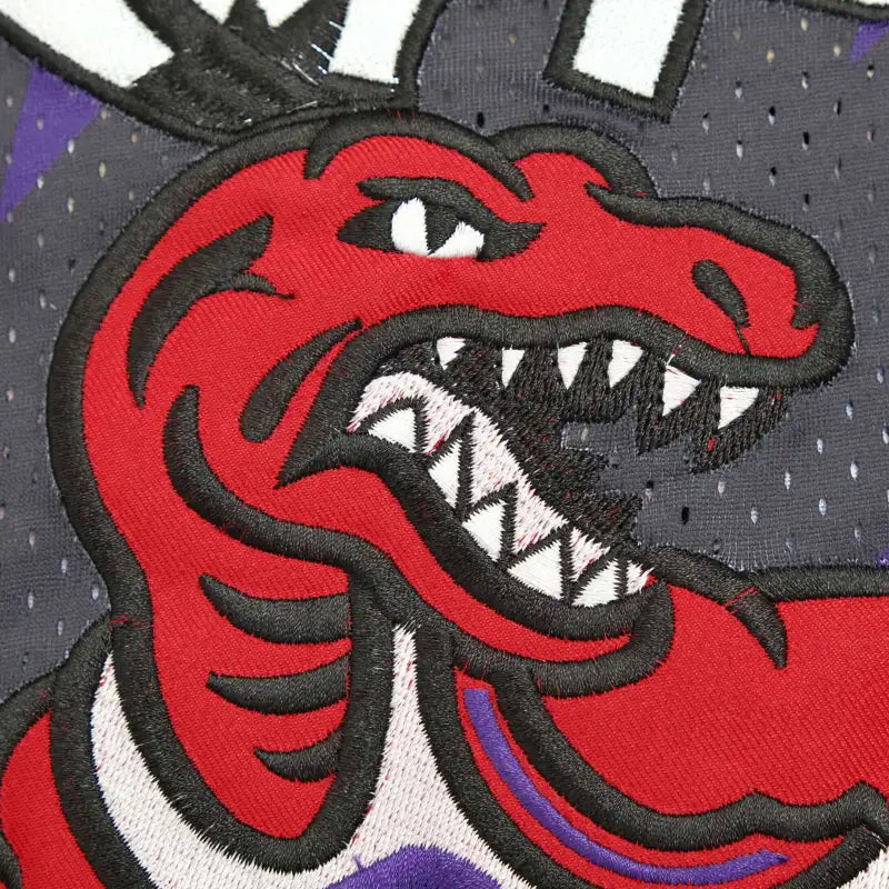 NBA Toronto Raptors 15#CARTCR