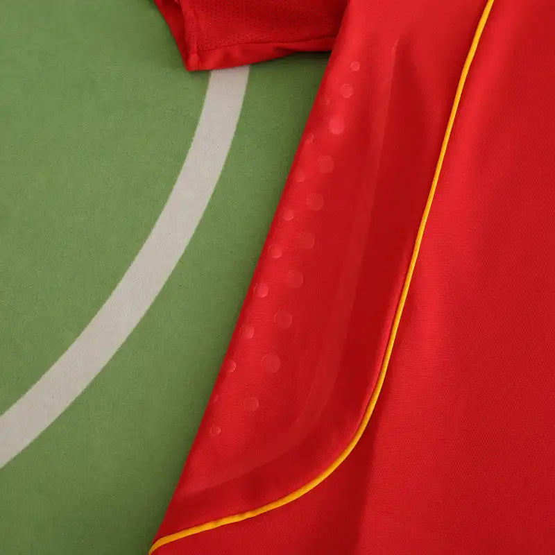 2008 season Spain home retro Fan version