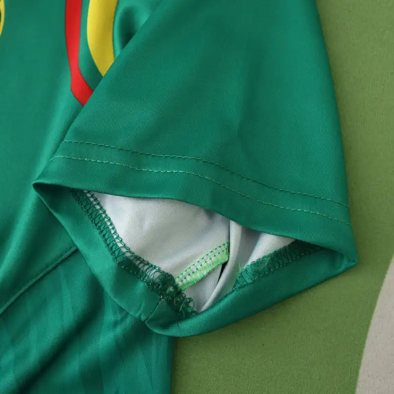 2425 season Cameroon home Fan version