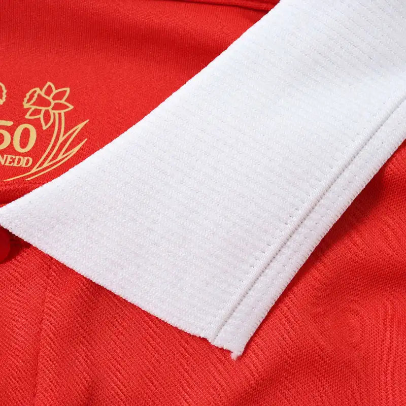 150th anniversary Wales Long sleeve Fan version