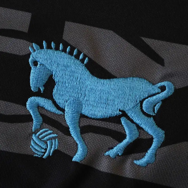 2526 season Ipswich Town F.C. third Fan version