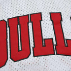 NBA Chicago Bulls 23#JORDAN
