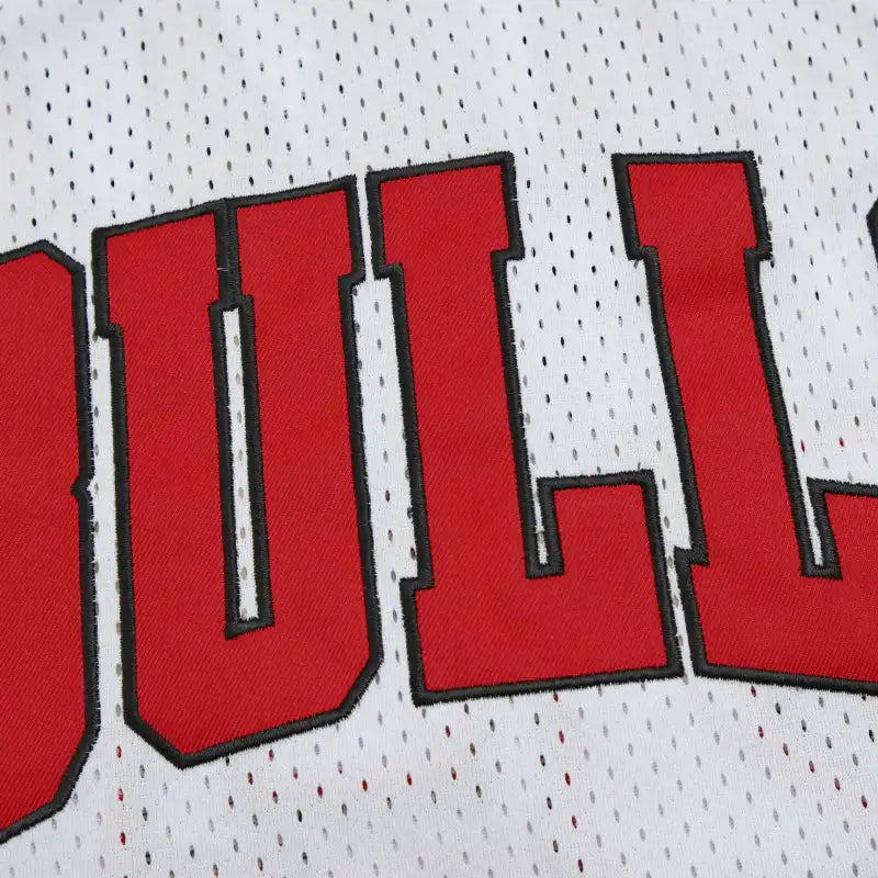 NBA Chicago Bulls 23#JORDAN