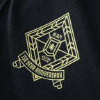 2425 season Aston Villa F.C. 125th anniversary Fan version