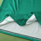 2425 season Cameroon home Fan version