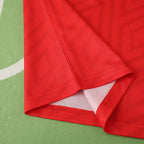 9294 season Wales home retro Fan version