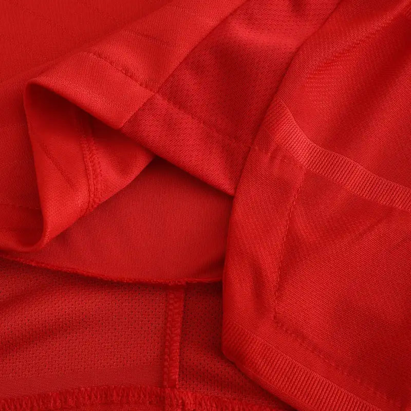 2425 season Benfica home Player version