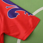 9596 season ACF Fiorentina third Fan version